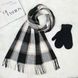 Комплект жіночий зимовий (шарф+рукавички) M&JJ One size Чорний + сірий 8064 - 4106 8064 - 4106 фото 1
