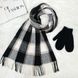 Комплект жіночий зимовий (шарф+рукавиці) M&JJ One size Чорний + сірий 8064 - 4096 8064 - 4096 фото 1