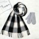 Комплект жіночий зимовий (шарф+рукавиці) M&JJ One size Сірий + чорний 8064 - 4105 8064 - 4105 фото 1