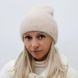 Комплект жіночий зимовий (шапка + шорф) ODYSSEY 55-58 см різнобарвний 12405 — 8008 нильс фото 2
