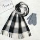 Комплект жіночий зимовий (шарф+рукавиці) M&JJ One size Сірий + чорний 8064 - 4098 8064 - 4098 фото 1