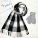 Комплект жіночий зимовий (шарф+рукавички) M&JJ One size СІрий + чорний 8064 - 4110 8064 - 4110 фото 1