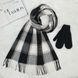 Комплект жіночий зимовий (шарф+рукавиці) M&JJ One size чорний + сірий 8064 - 4135 8064 - 4135 фото 1