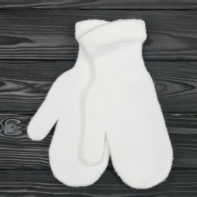 Рукавички жіночі (вовна merino+ПА fibre) ODYSSEY білий One Size 4150-п 4150-п фото