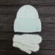 Комплект жіночий зимовий ангоровий на флісі (шапка+рукавиці) ODYSSEY 56-59 см М'ятний 13887 - 4138 13887 - 4138 фото 1