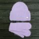 Комплект жіночий зимовий ангоровий на флісі (шапка+рукавиці) ODYSSEY 56-59 см Бузковий 13886 - 4137 13886 - 4137 фото 1