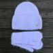 Комплект жіночий зимовий ангоровий на флісі (шапка+рукавиці) ODYSSEY 56-59 см Блакитний 13884 - 4136 13884 - 4136 фото 1