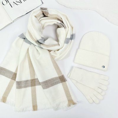 Комплект жіночий зимовий ангоровий (шапка+шарф+рукавички) ODYSSEY 55-58 см білий 13702 - 8131 - 4000 смузи фото
