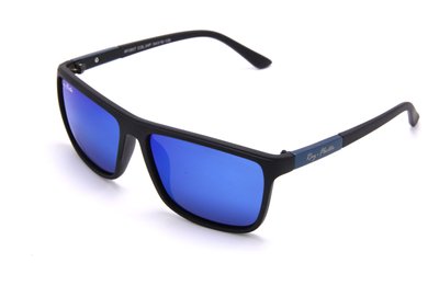 Солнцезащитные очки Мужские Поляризационные RAY-FLECTOR RF 0807 C4 (3233) 3233 фото