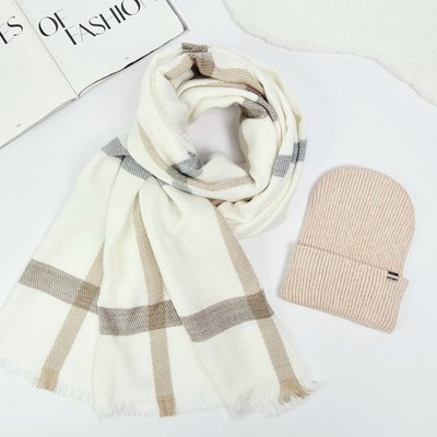 Комплект жіночий зимовий ангоровий (шапка+шарф) ODYSSEY 57-59 см різнокольоровий 12529 - 8131 блейк фото