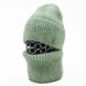 Комплект жіночий зимовий ангоровий (шапка+бафф) ODYSSEY 56-58 см Ментоловий 13572 - 13006 13572 - 13006 фото 1