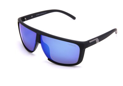 Сонцезахисні окуляри Чоловічі Поляризаційні ENRIQUE CAVALDI EC 75002 C05 (3248) 3248 фото