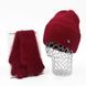 Комплект жіночий зимовий ангоровий (шапка+рукавички) ODYSSEY 56-58 см Рубіновий 13574 - 4190 13574 - 4190 фото 1
