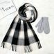 Комплект женский зимний (шарф+варежки) M&JJ One size Серый + черный 8064 - 4105 8064 - 4105 фото 1