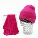 Комплект жіночий зимовий ангоровий (шапка+рукавички) ODYSSEY 56-58 см Малиновий 13569 - 4186 13569 - 4186 фото 1