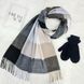 Комплект женский зимний (шарф+перчатки) M&JJ One size черный + серый 1080 - 4106 1080 - 4106 фото 1