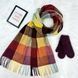 Комплект женский зимний (шарф+варежки) M&JJ One size бордовый 8024 - 4126 8024 - 4126 фото 1