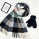 Комплект жіночий зимовий (шарф+рукавиці) M&JJ One size Чорний + сірий 8025 - 4106 8025 - 4106 фото 1
