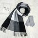Комплект жіночий зимовий (шарф+рукавички) M&JJ One size сірий 1125 - 4002 1125 - 4002 фото 1