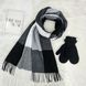 Комплект жіночий зимовий (шарф+рукавиці) M&JJ One size Чорний + сірий 1125 - 4106 1125 - 4106 фото 1