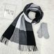 Комплект женский зимний (шарф+варежки) M&JJ One size Серый + черный 1125 - 4220 1125 - 4220 фото 1