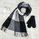 Комплект жіночий зимовий (шарф+рукавиці) M&JJ One size чорний 1125 - 4135 1125 - 4135 фото 1